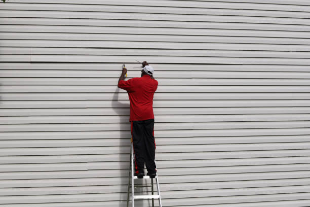 Custom Trim and Detailing for Siding in Golden Valley, MN